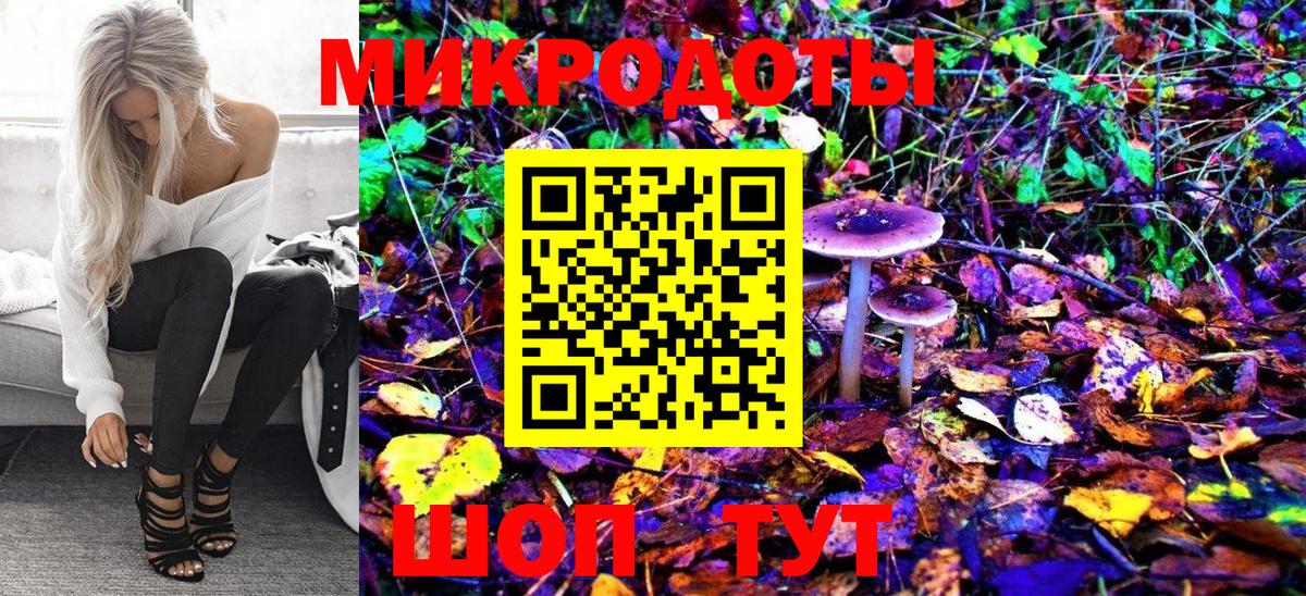 Кировск  Псилоцибиновые грибы Psilocybine cubensis  купить наркотики сайты  Вход с VPN 